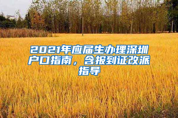 2021年应届生办理深圳户口指南，含报到证改派指导