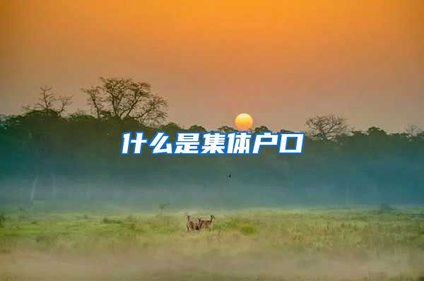 什么是集体户口