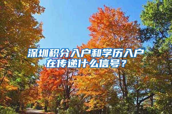 深圳积分入户和学历入户在传递什么信号？