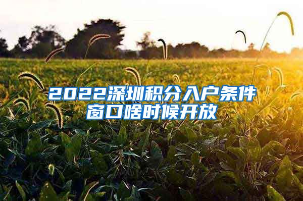 2022深圳积分入户条件窗口啥时候开放
