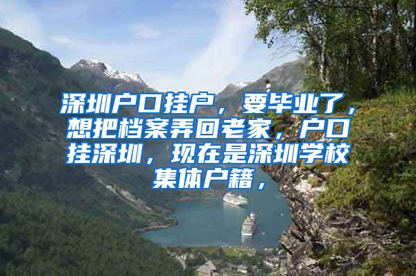 深圳户口挂户，要毕业了，想把档案弄回老家，户口挂深圳，现在是深圳学校集体户籍，