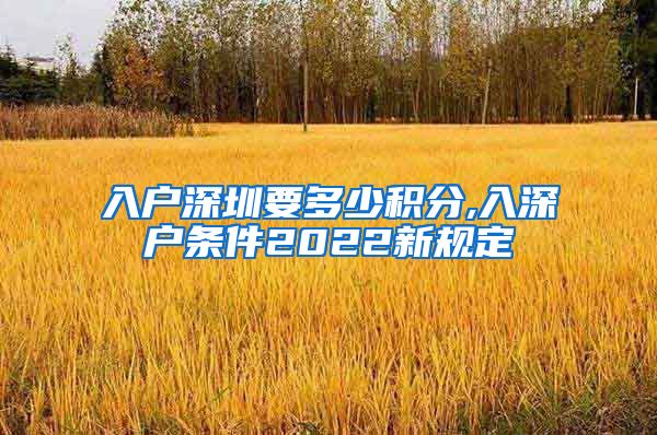 入户深圳要多少积分,入深户条件2022新规定
