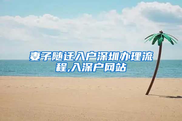 妻子随迁入户深圳办理流程,入深户网站