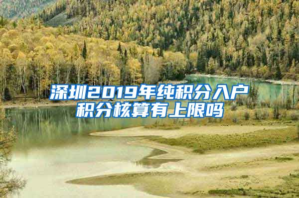 深圳2019年纯积分入户积分核算有上限吗