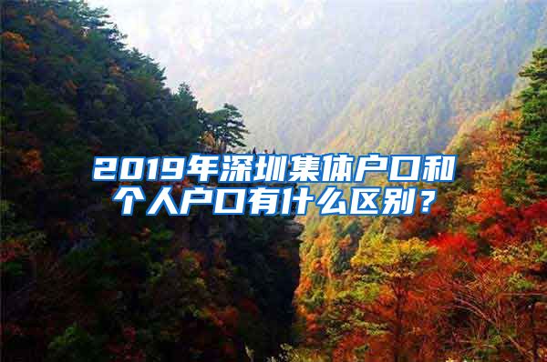 2019年深圳集体户口和个人户口有什么区别？