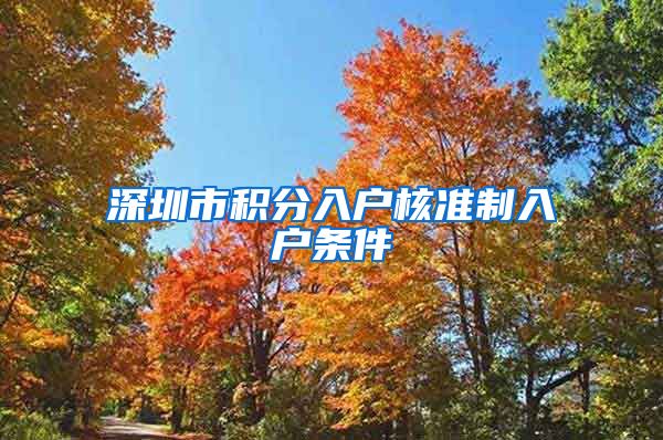 深圳市积分入户核准制入户条件