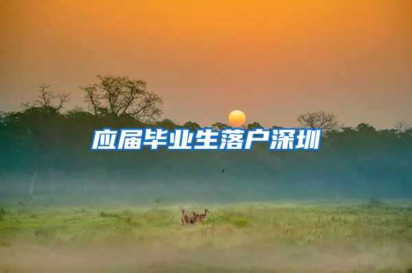 应届毕业生落户深圳