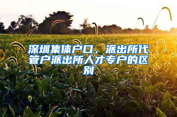 深圳集体户口，派出所代管户派出所人才专户的区别