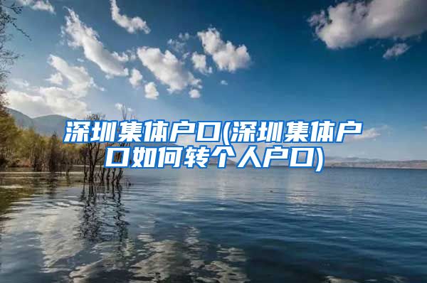 深圳集体户口(深圳集体户口如何转个人户口)
