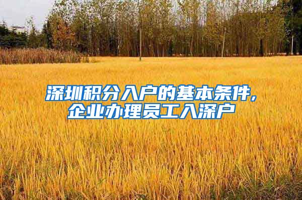 深圳积分入户的基本条件,企业办理员工入深户