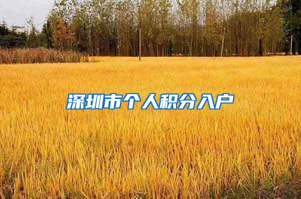 深圳市个人积分入户