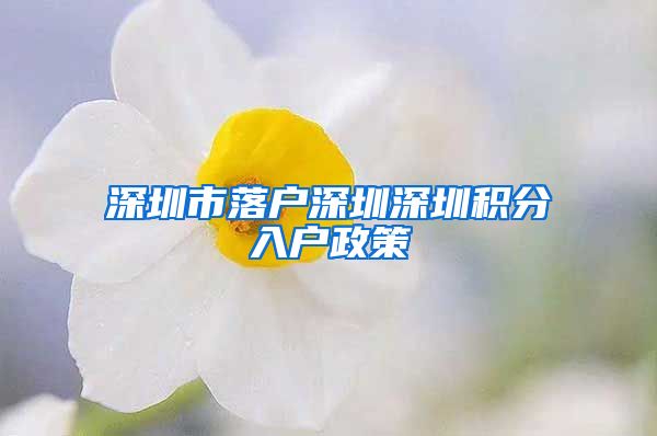 深圳市落户深圳深圳积分入户政策