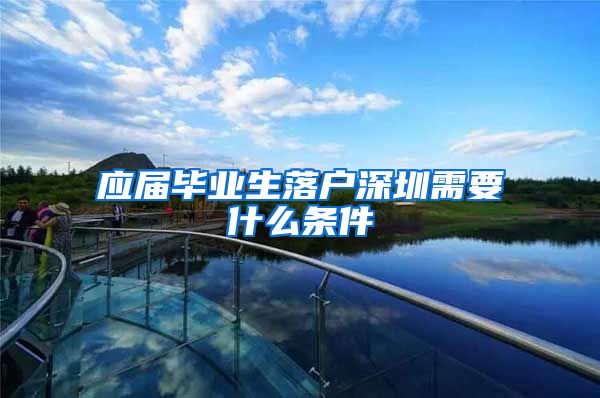 应届毕业生落户深圳需要什么条件
