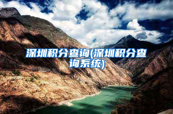 深圳积分查询(深圳积分查询系统)