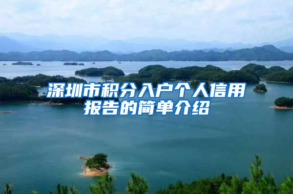 深圳市积分入户个人信用报告的简单介绍