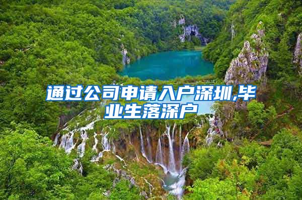 通过公司申请入户深圳,毕业生落深户