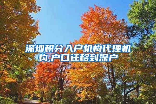 深圳积分入户机构代理机构,户口迁移到深户