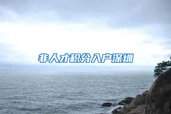 非人才积分入户深圳