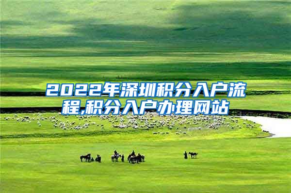 2022年深圳积分入户流程,积分入户办理网站