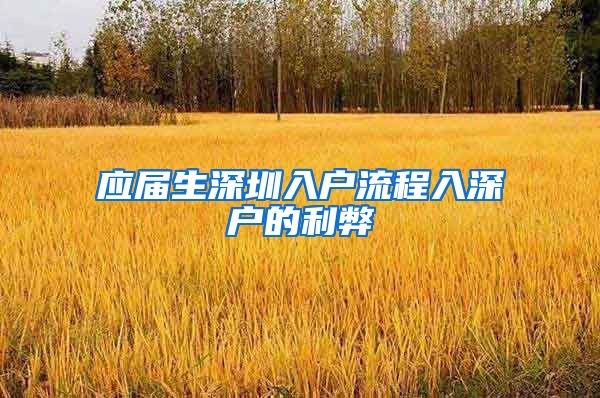 应届生深圳入户流程入深户的利弊