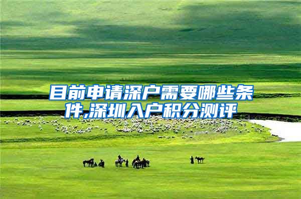 目前申请深户需要哪些条件,深圳入户积分测评