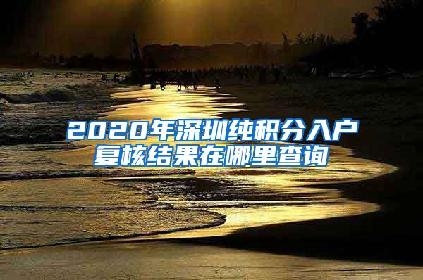 2020年深圳纯积分入户复核结果在哪里查询