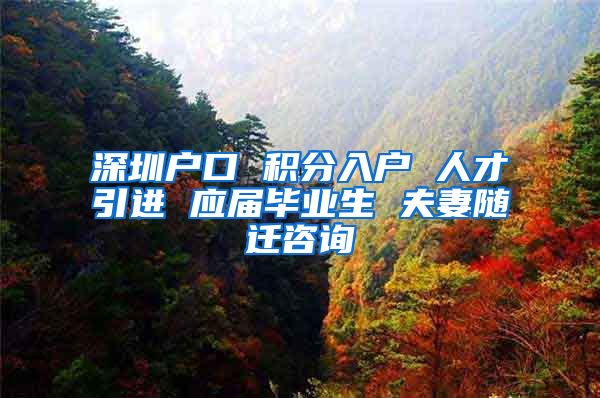 深圳户口 积分入户 人才引进 应届毕业生 夫妻随迁咨询