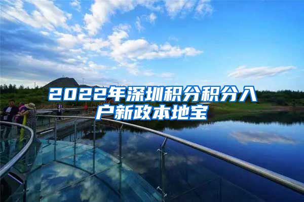 2022年深圳积分积分入户新政本地宝