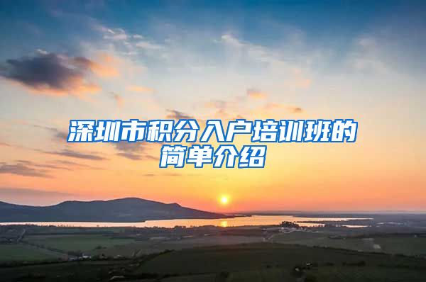 深圳市积分入户培训班的简单介绍