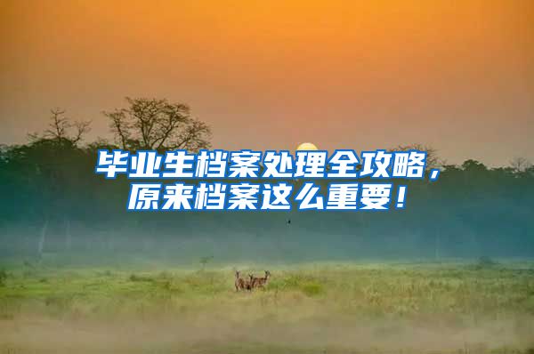 毕业生档案处理全攻略，原来档案这么重要！