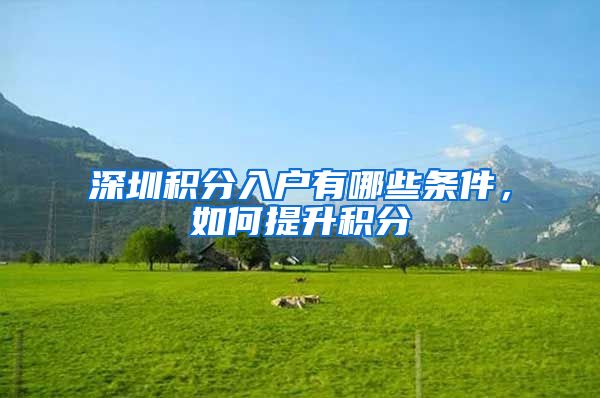 深圳积分入户有哪些条件，如何提升积分