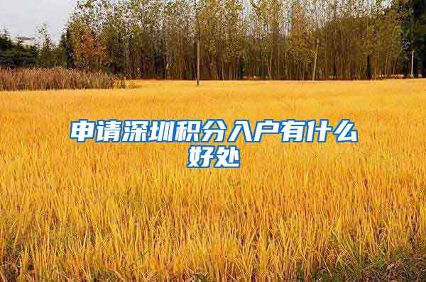 申请深圳积分入户有什么好处