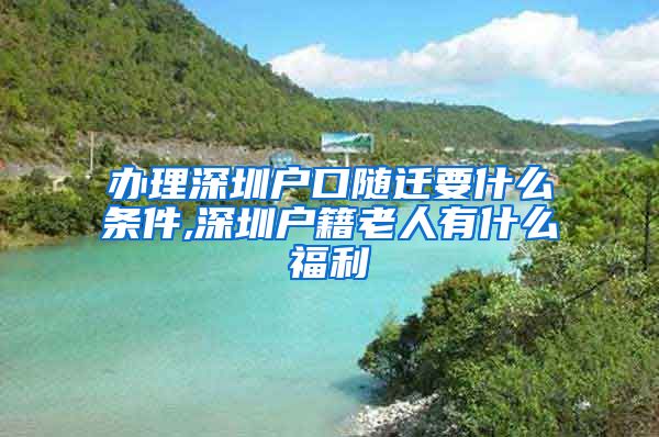 办理深圳户口随迁要什么条件,深圳户籍老人有什么福利