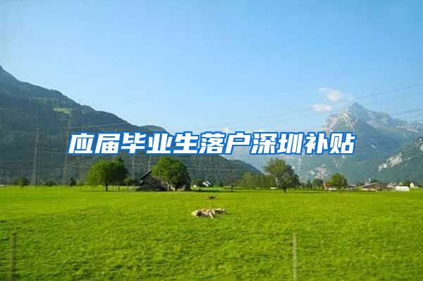 应届毕业生落户深圳补贴