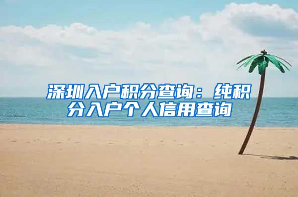 深圳入户积分查询：纯积分入户个人信用查询