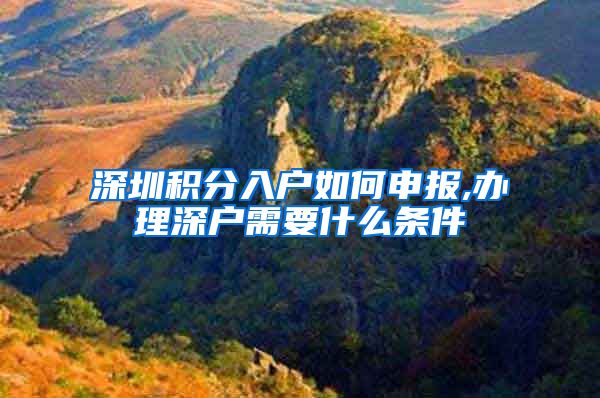 深圳积分入户如何申报,办理深户需要什么条件