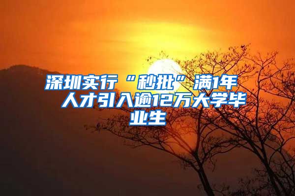 深圳实行“秒批”满1年  人才引入逾12万大学毕业生