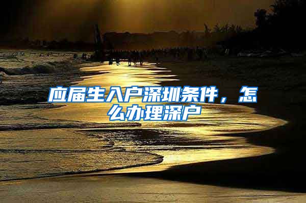 应届生入户深圳条件，怎么办理深户