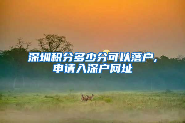 深圳积分多少分可以落户,申请入深户网址
