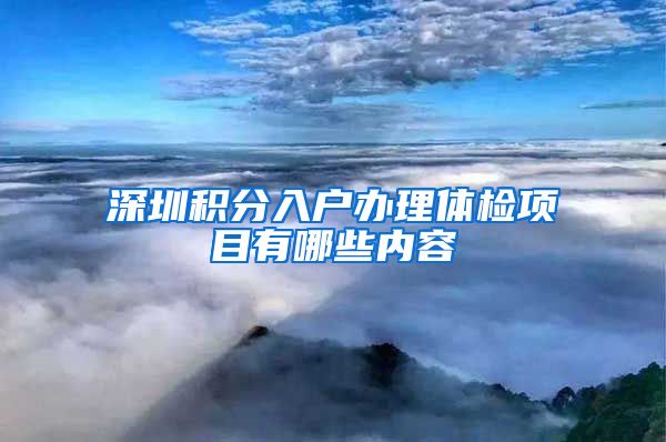 深圳积分入户办理体检项目有哪些内容