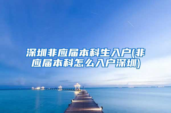深圳非应届本科生入户(非应届本科怎么入户深圳)