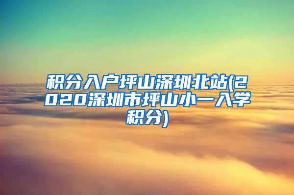 积分入户坪山深圳北站(2020深圳市坪山小一入学积分)