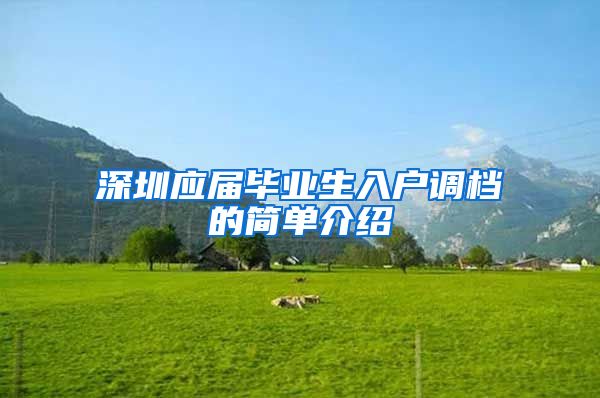 深圳应届毕业生入户调档的简单介绍