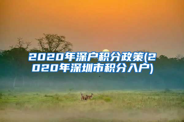 2020年深户积分政策(2020年深圳市积分入户)