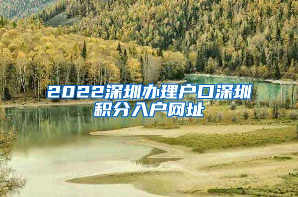 2022深圳办理户口深圳积分入户网址