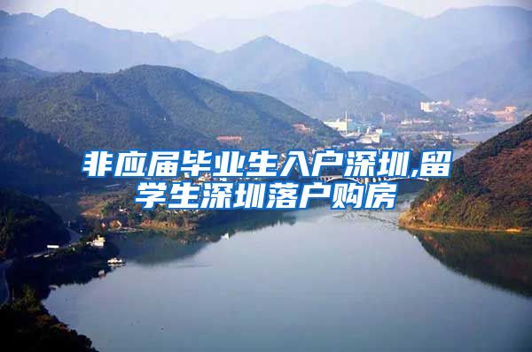 非应届毕业生入户深圳,留学生深圳落户购房