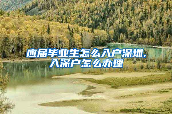 应届毕业生怎么入户深圳,入深户怎么办理