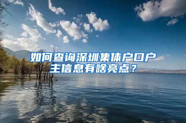 如何查询深圳集体户口户主信息有啥亮点？