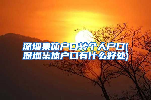 深圳集体户口转个人户口(深圳集体户口有什么好处)