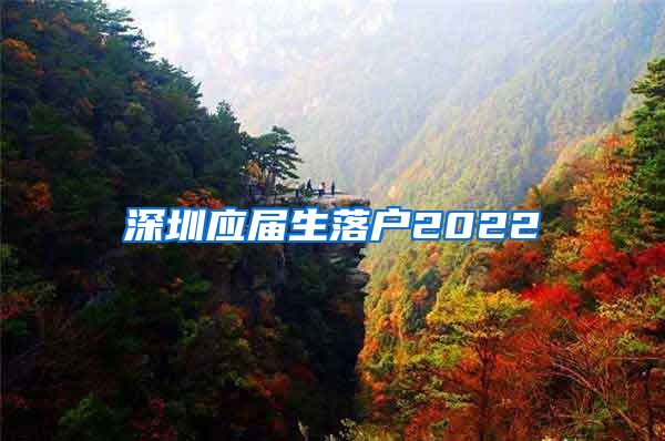 深圳应届生落户2022